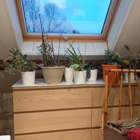 Blue Coral Homestay Villeneuve-Saint-Denis